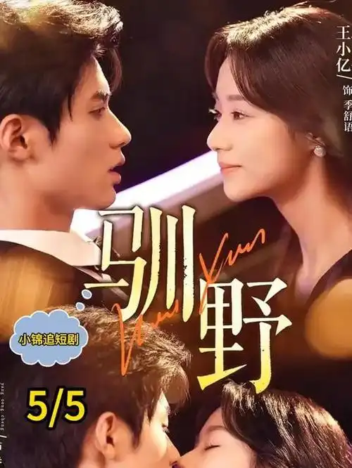 竖屏短剧 手机免费在线观看